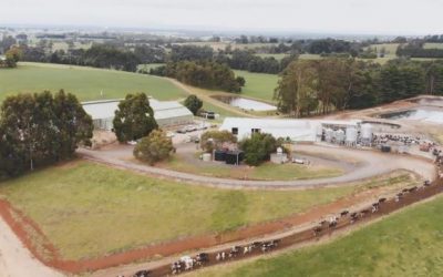 Gaia’s biodigester to assist AgVic’s Ellinbank research farm to become the world’s first carbon-neutral grazing-based farm