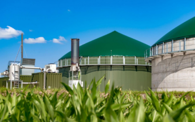 Opportunity assessment: Anaerobic digestion for electricity, transport and gas